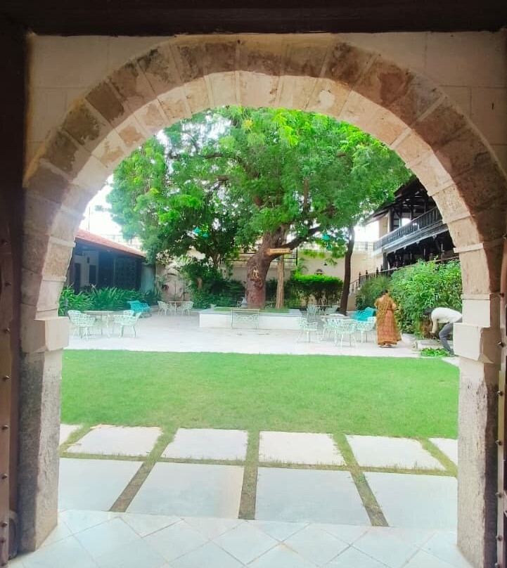 Tree Of Life Darbargadh Dared Gujarat主图