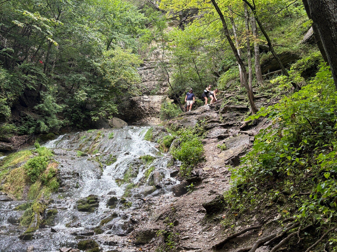 Dunnings Spring Park-迪科拉必去景点