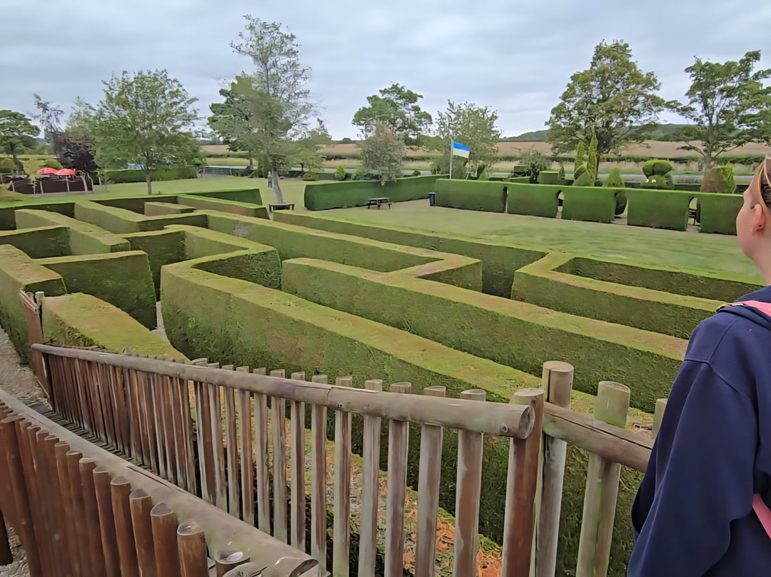 Wragby Maze-Wragby必去景点