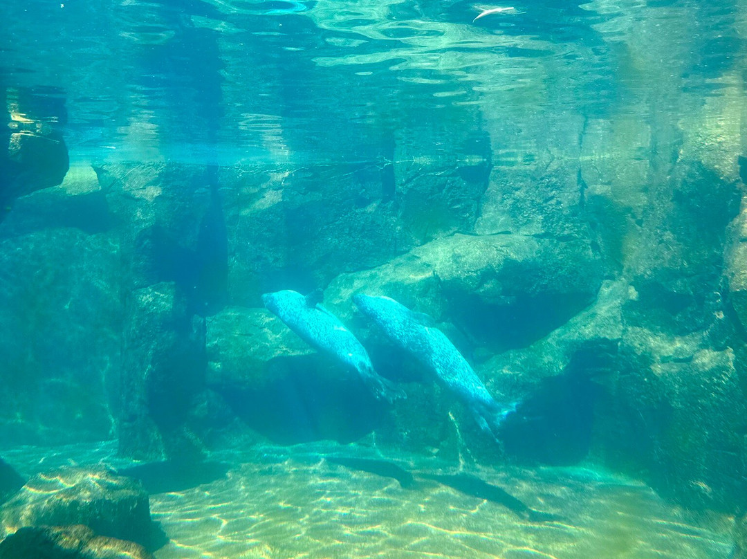 Zoo am Meer-不来梅港必去景点