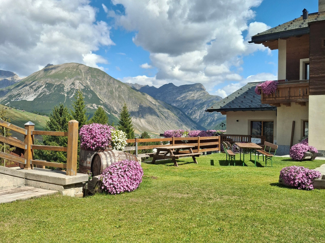 Hotel del Bosco主图