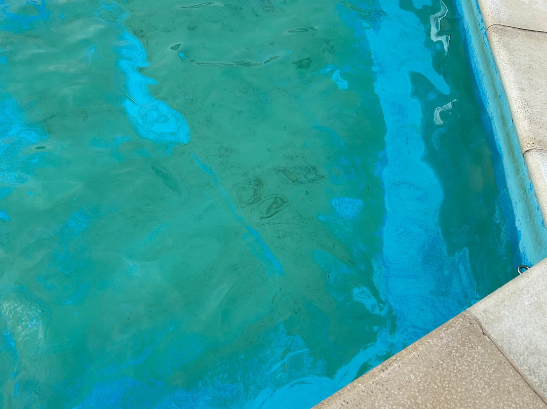 Saltdean Lido-布莱顿必去景点