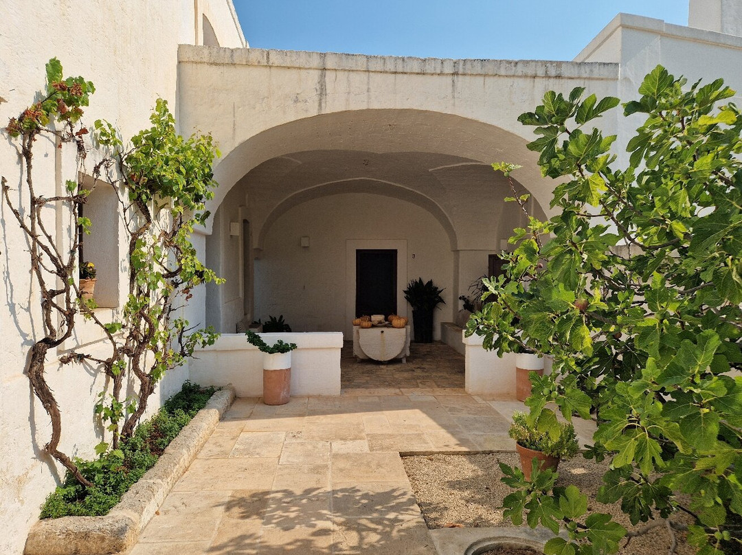 Masseria Stefanodelconte主图