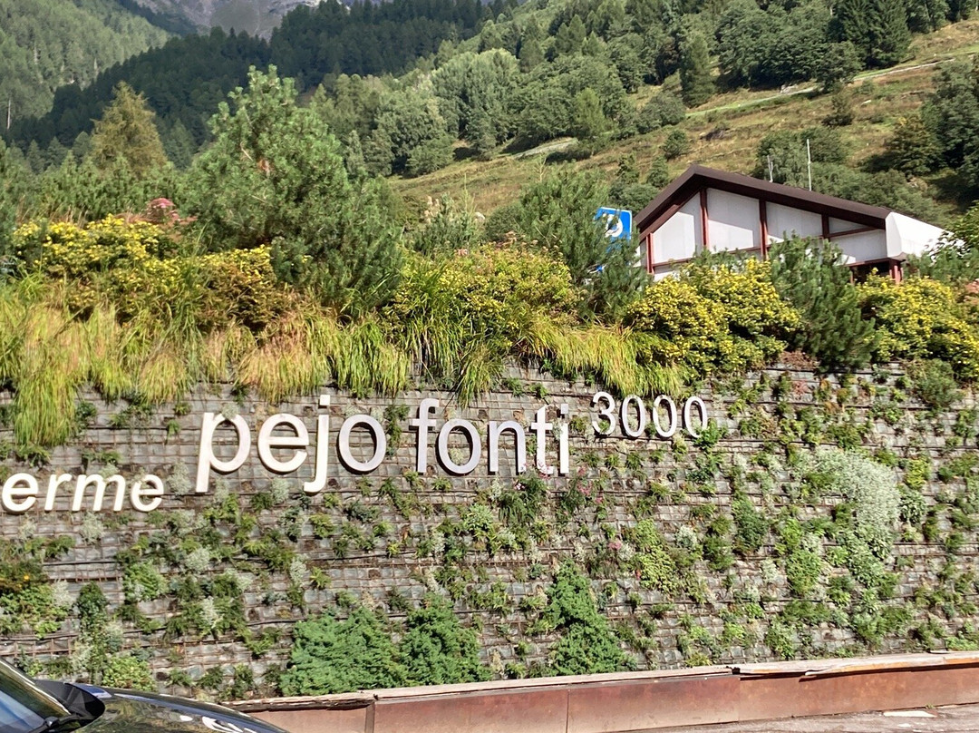 Funivia Pejo 3000-Peio Fonti必去景点