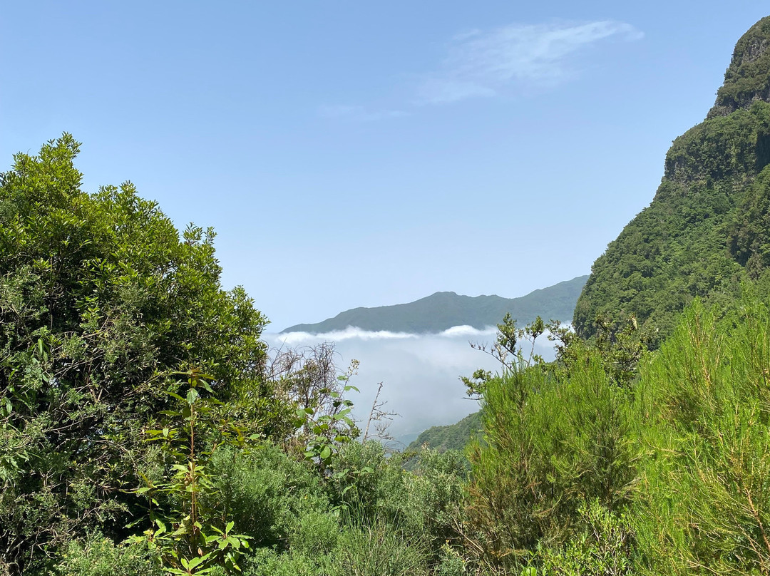 Madeira Wonder Hikes-沙尔必去景点