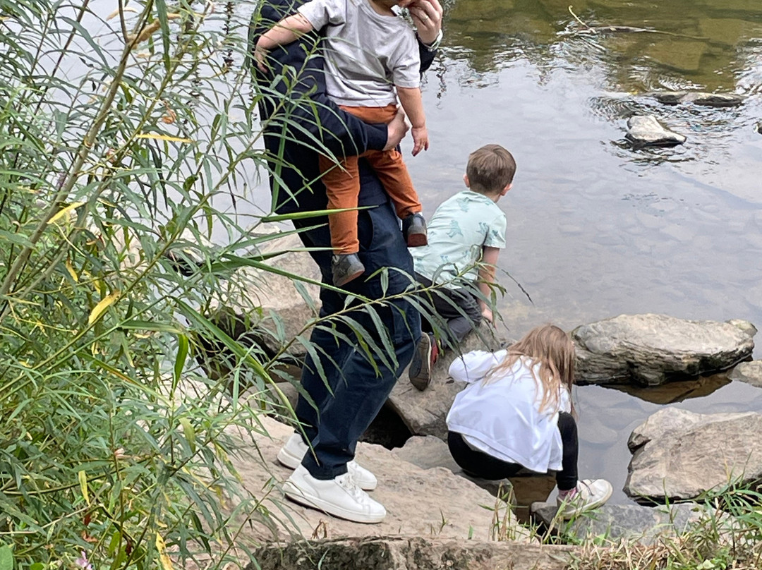 Severn Valley Country Park-Alveley必去景点