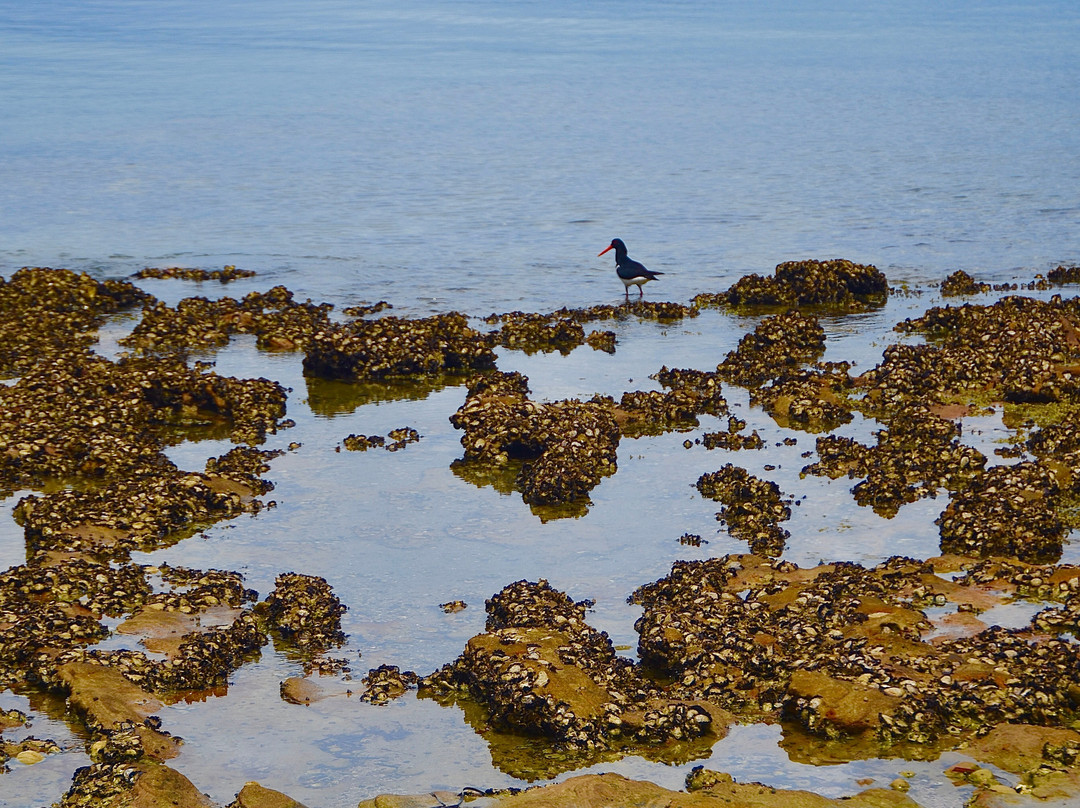 Kamay Botany Bay National Park-Kurnell必去景点