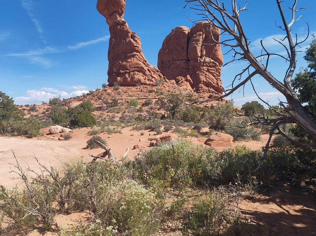 Arches National Park Scenic Drive-拱门国家公园必去景点