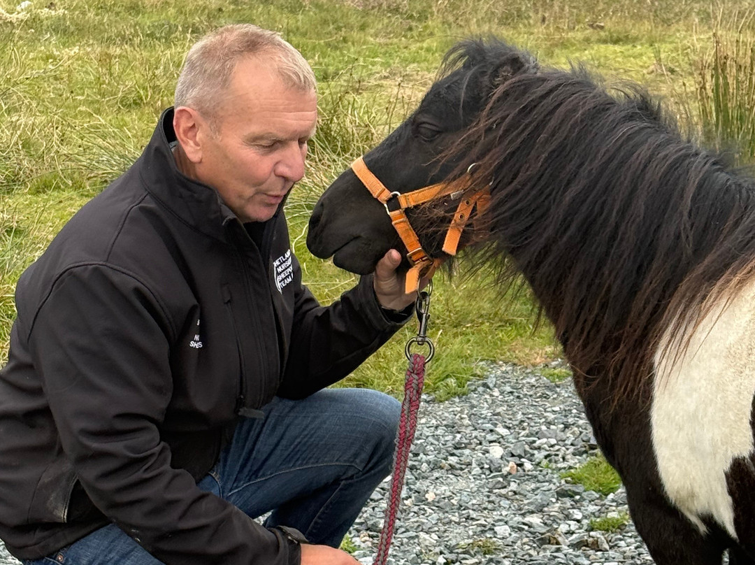 Shetland Rural Experience-Tingwall必去景点