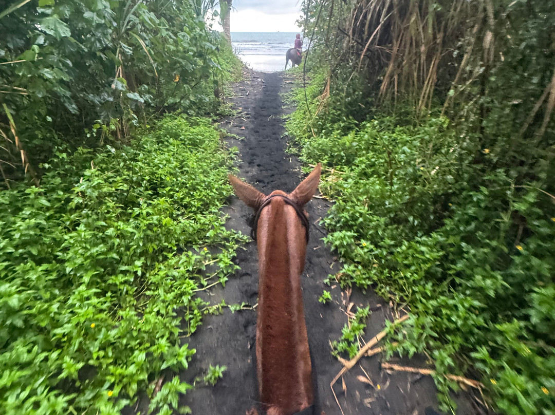 Rancho La Merced National Wildlife Refuge-乌维塔必去景点