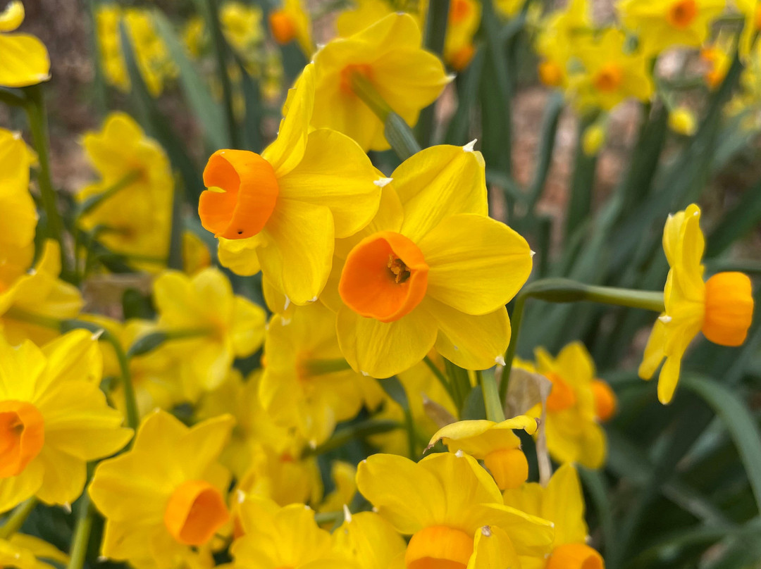 Mitchell Street Playground-Nyora必去景点