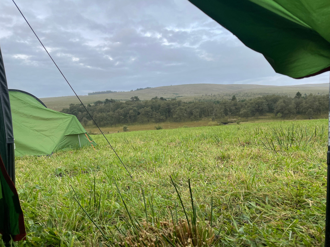 Nethergill Farm主图