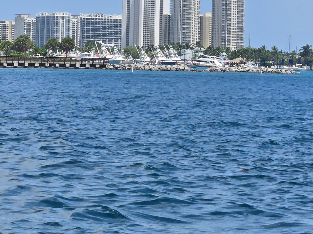 Flying Lady Boat Tours - Jupiter-朱庇特必去景点