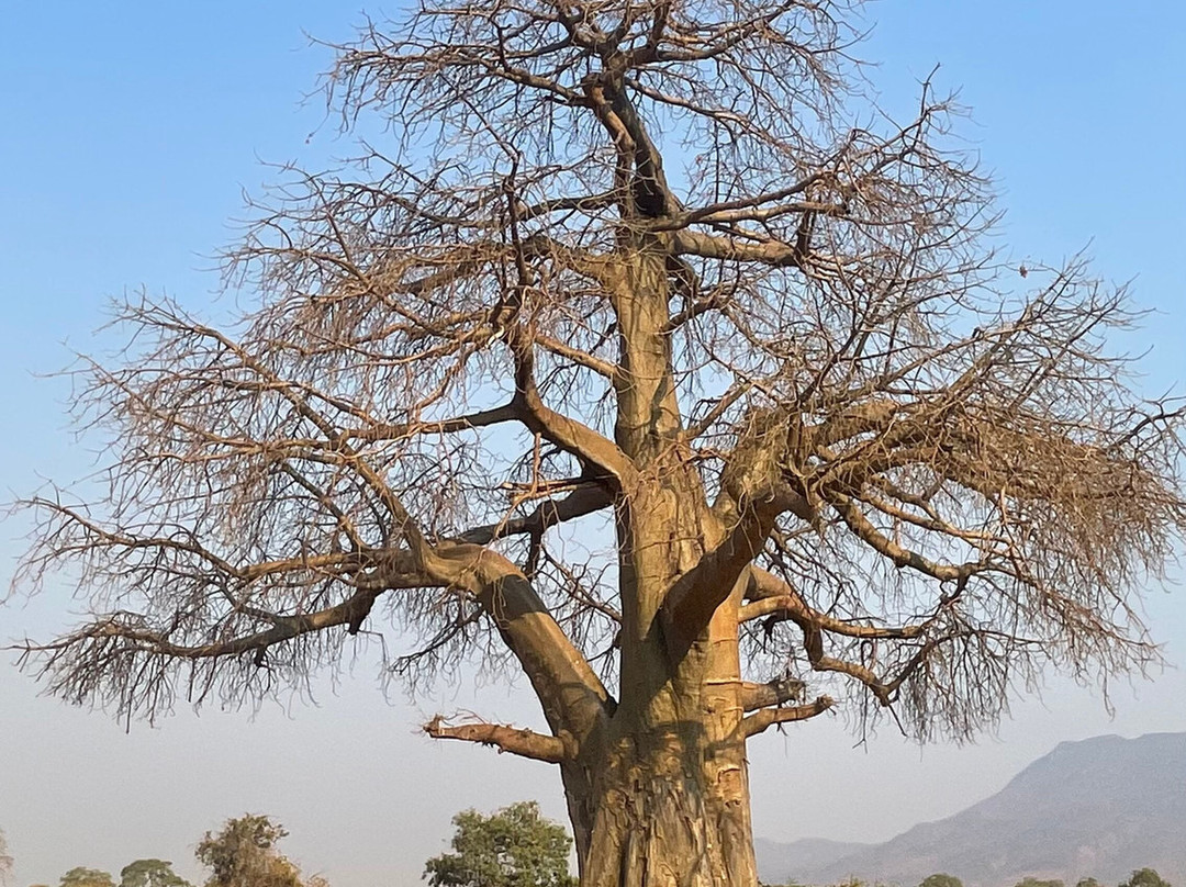 J&l Private Safaris-Chirundu必去景点