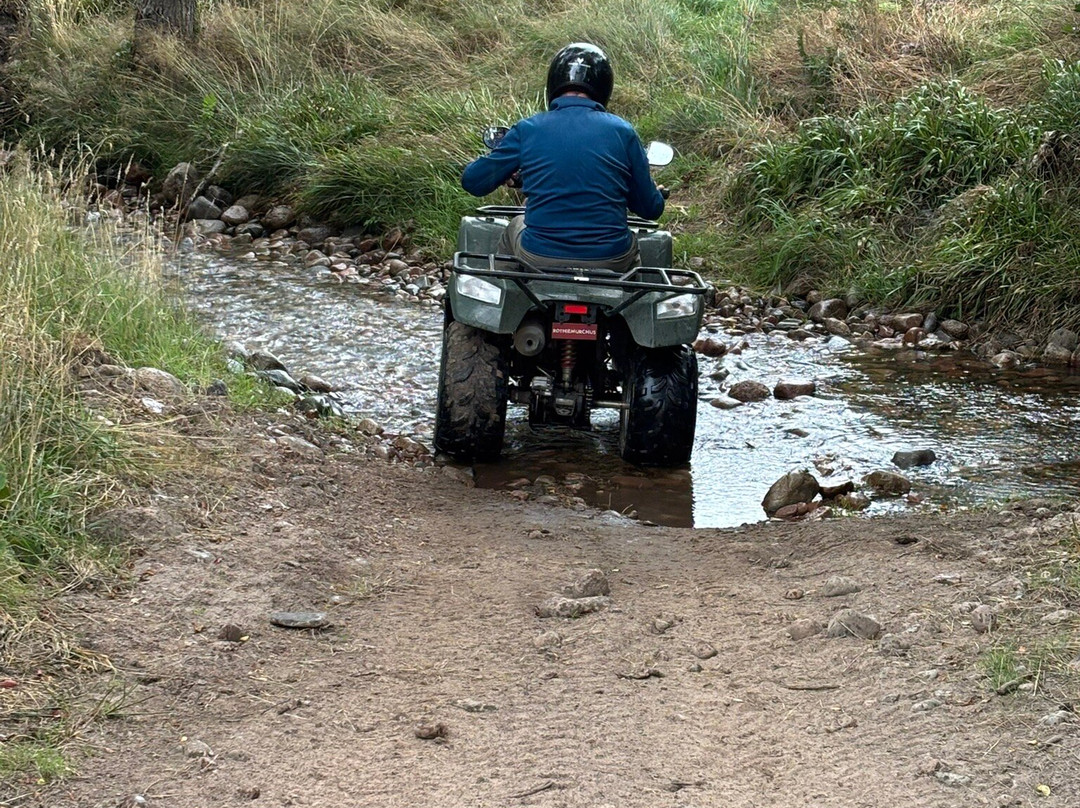 Quad Bike Treks-阿维莫尔必去景点