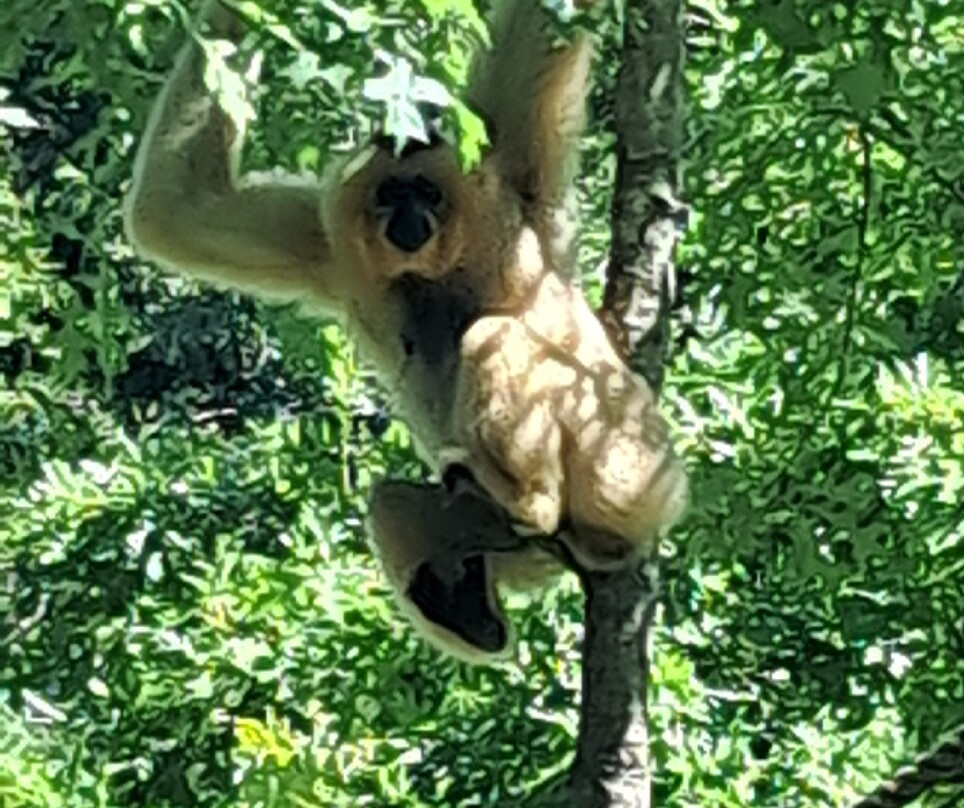 Parc Animalier De Sainte-croix-Rhodes必去景点