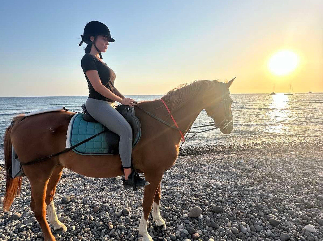 Efippos Horse Farm-维查德必去景点