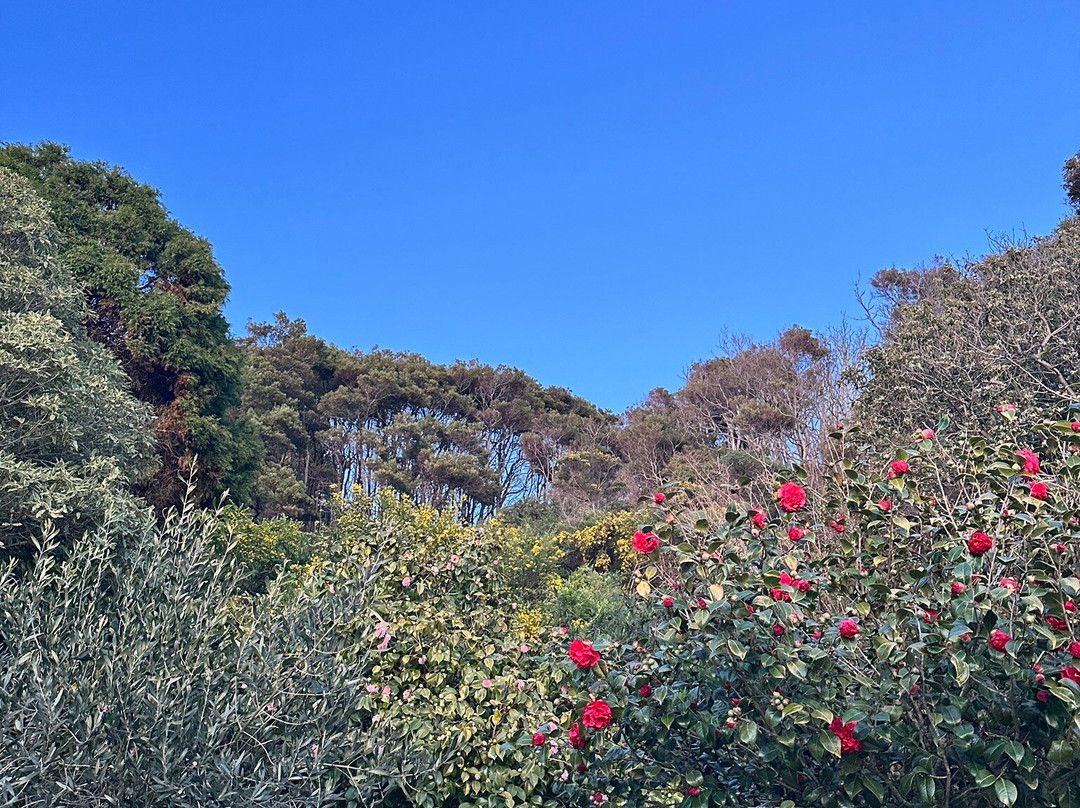 Boat Harbour Beach-温耶德必去景点