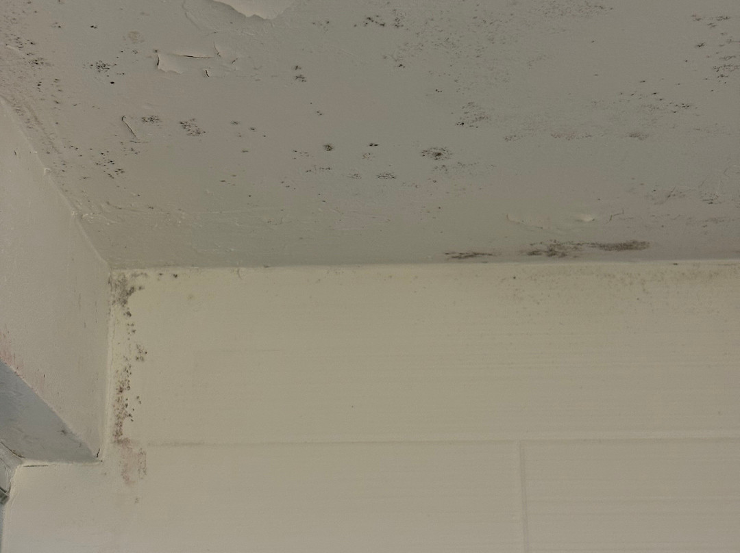 奥利安希尔顿恒庭酒店主图