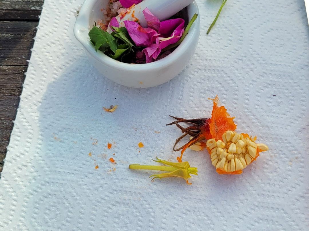 Foehrer Wildnis-Wyk auf Foehr必去景点