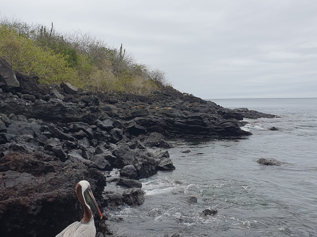 Cerro Tijeretas-Puerto Baquerizo Moreno必去景点