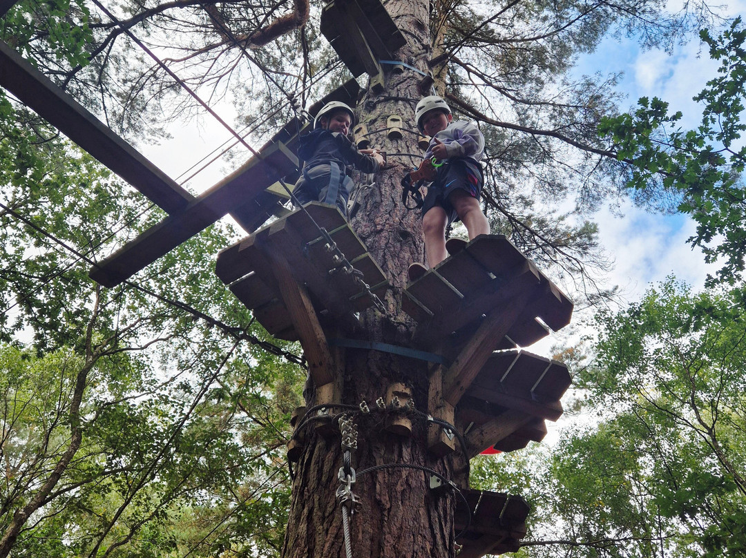 Wild Pines Park-Market Rasen必去景点