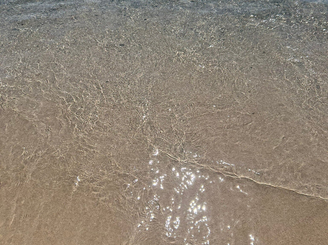 Spiaggia Del Lazzaretto-阿尔盖罗必去景点