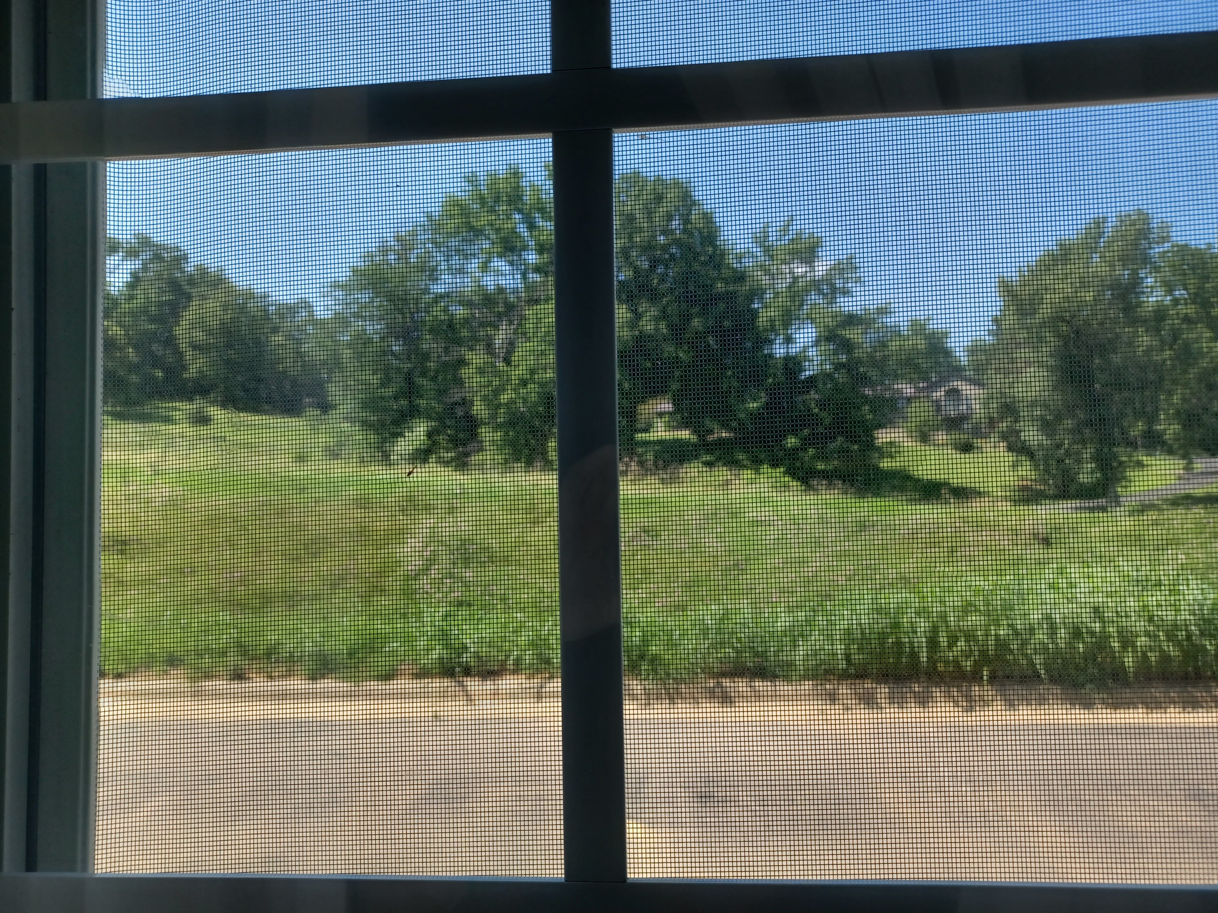 Savanna Inn & Suites-酒店景观