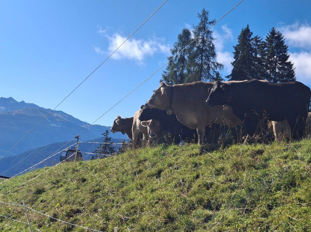 UALM Untermarkter Alm主图