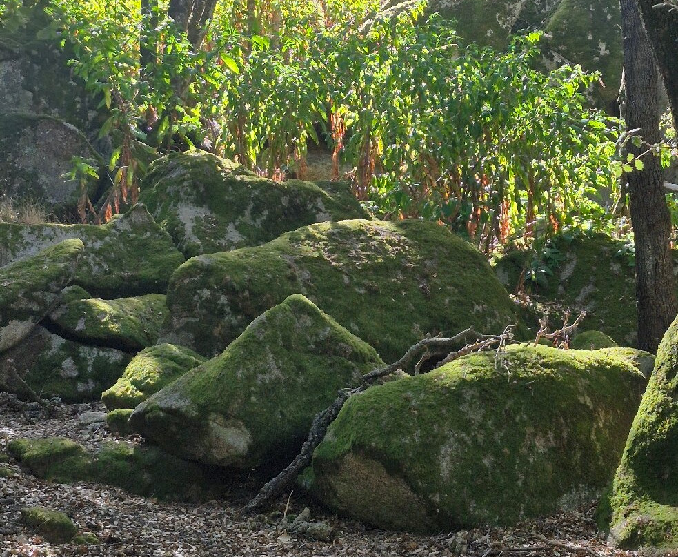 Parc Naturel D'Olva-Sartene必去景点