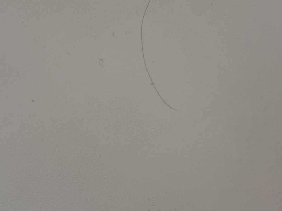 多森希尔顿恒庭旅馆&套房酒店主图