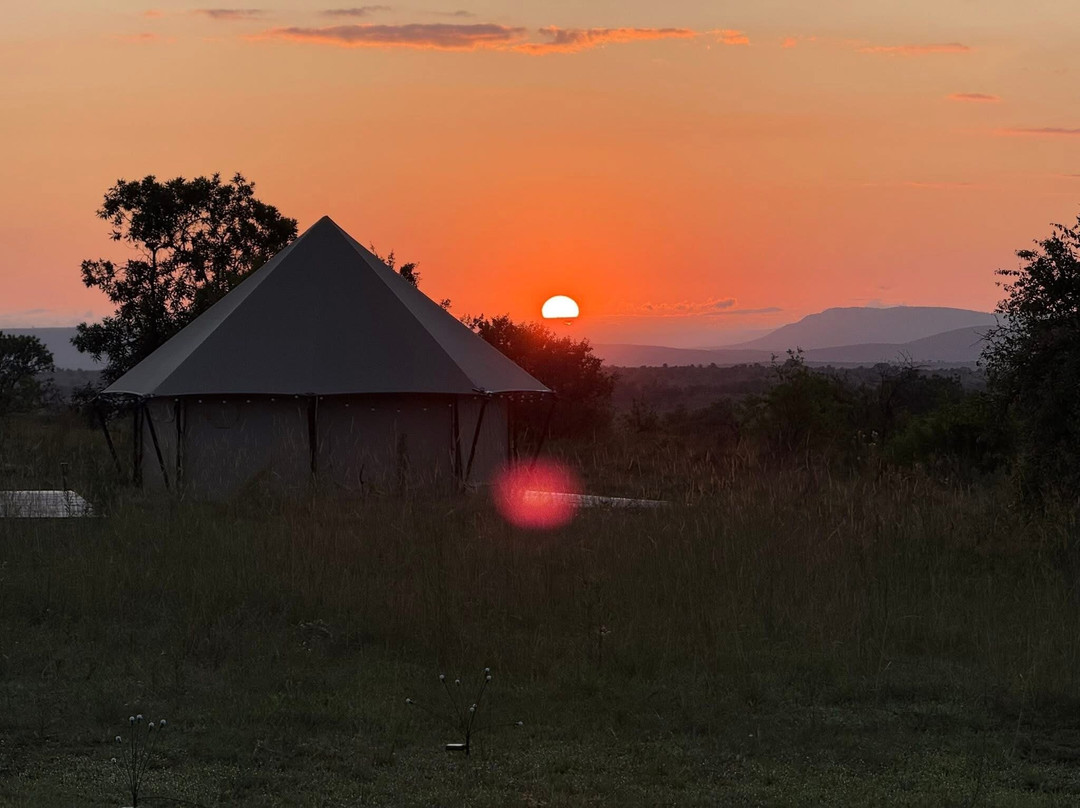 Serengeti Pride-阿鲁沙必去景点
