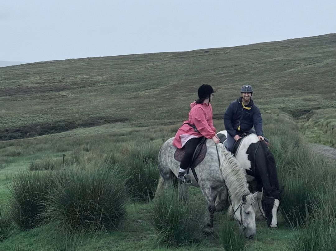 Sheans Horse Farm-Armoy必去景点