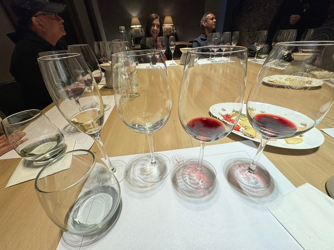 Bodega Vistalba-路冉得库约必去景点