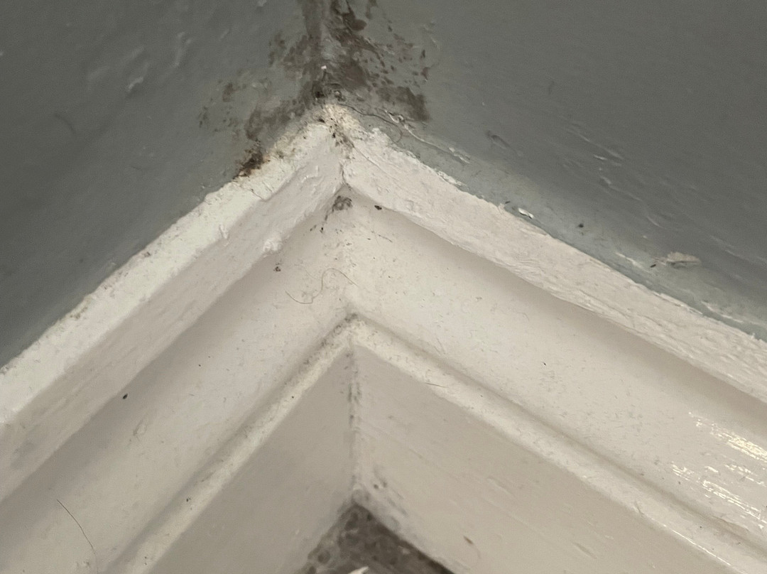 The Beaufort Coaching Inn & Brasserie主图