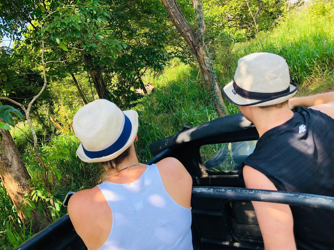 Wild Elephant Safari & Adventures