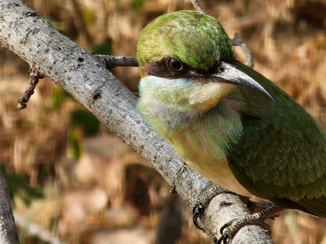 Ceylon Ayli-Pannipitiya必去景点