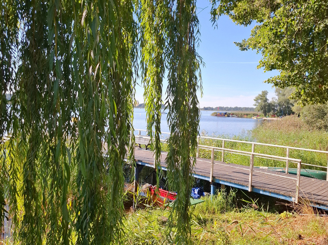 Seehotel Bollmannsruh主图