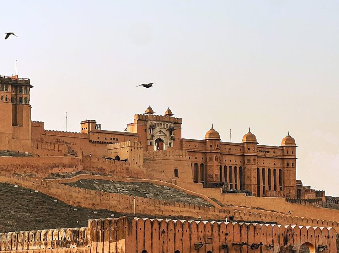 Indian Travel Tour - Private Day Tours-新德里必去景点