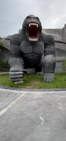 Emirates Park Zoo & Resort主图