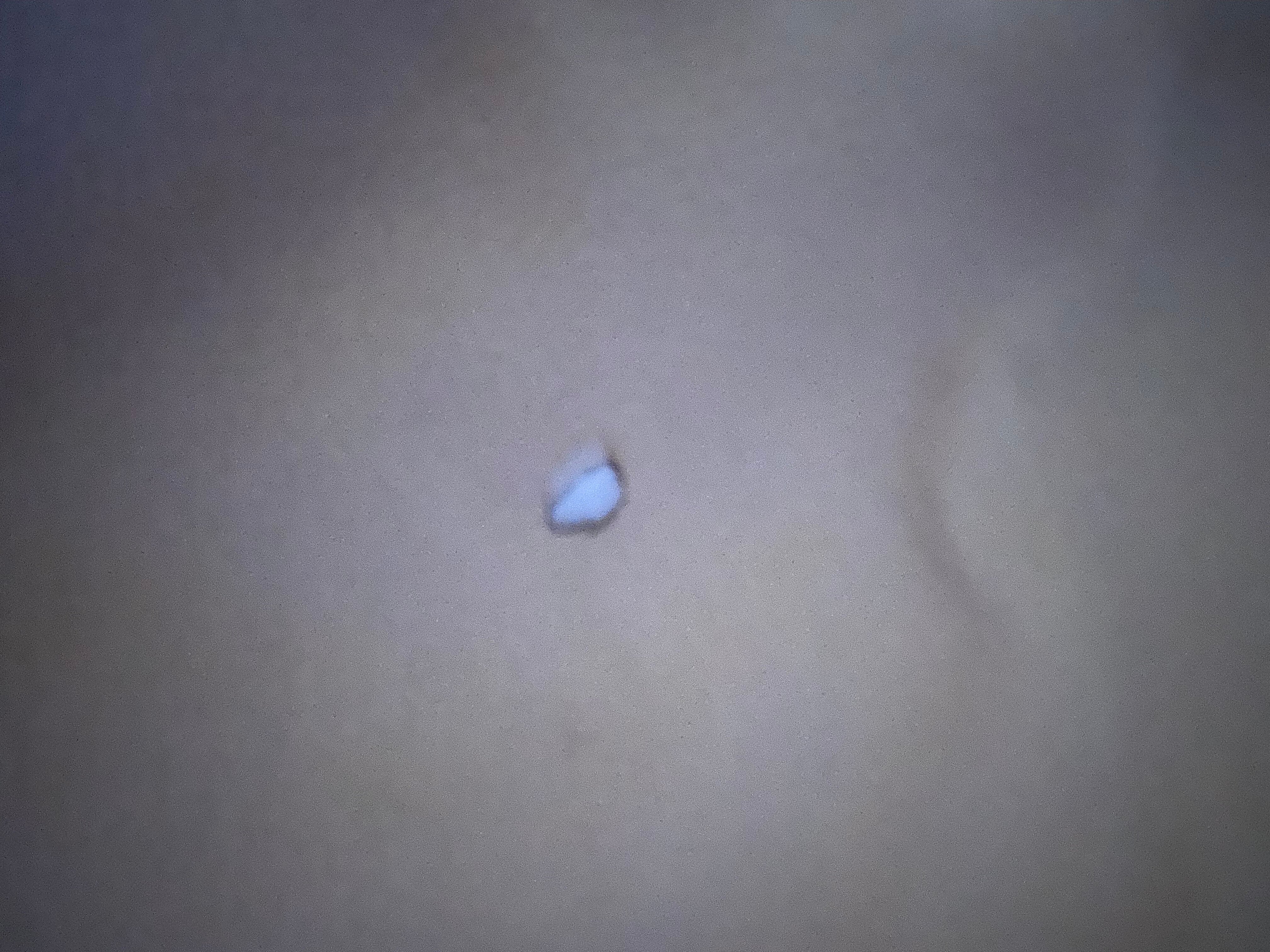 Best Western North Attleboro / Providence Beltway-官方