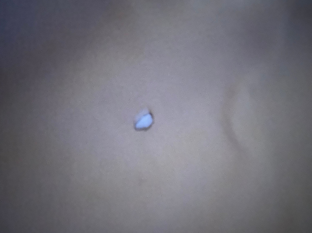 Best Western North Attleboro / Providence Beltway主图