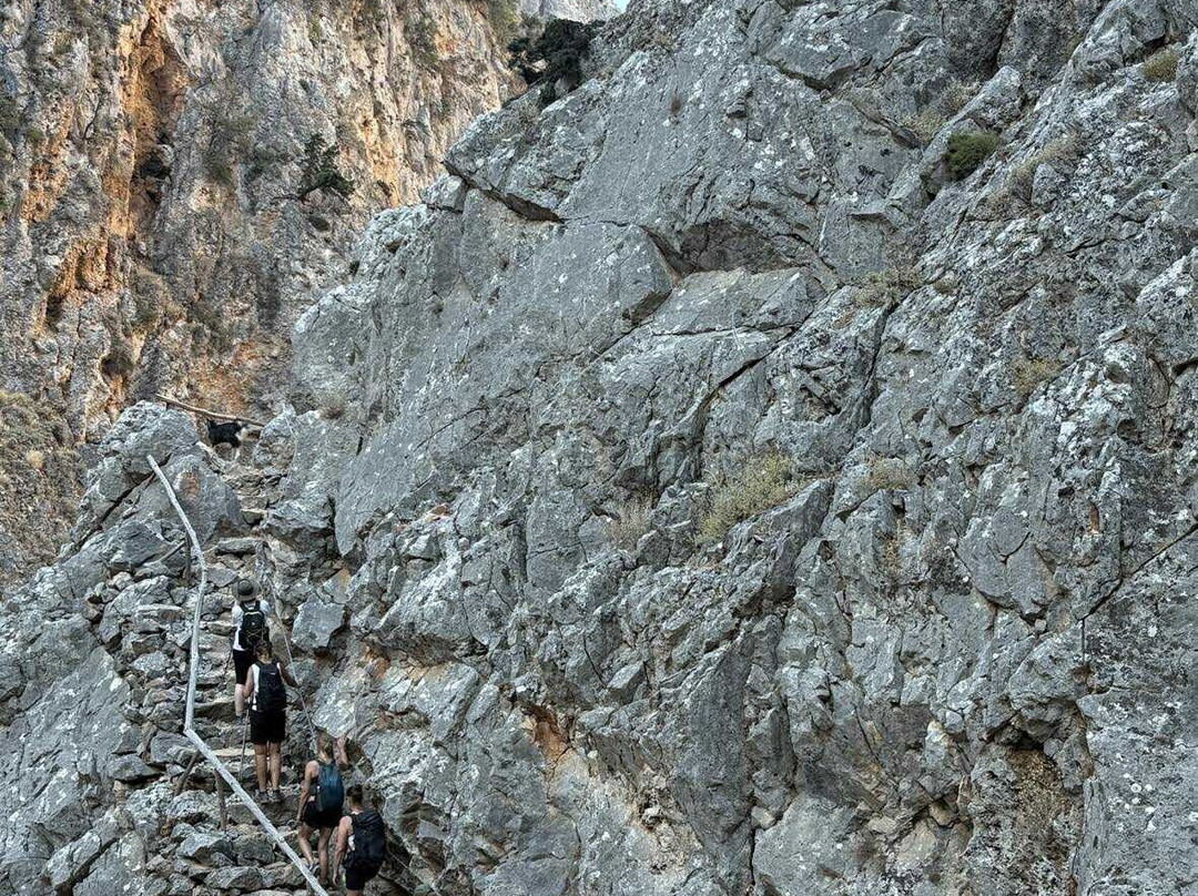 The Gorge of Aradena-Aradena必去景点