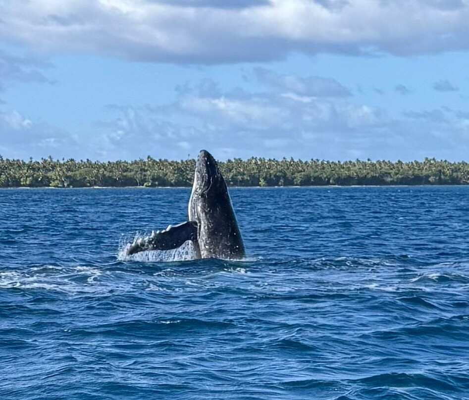 Magenta Oceans-Uoleva Island必去景点