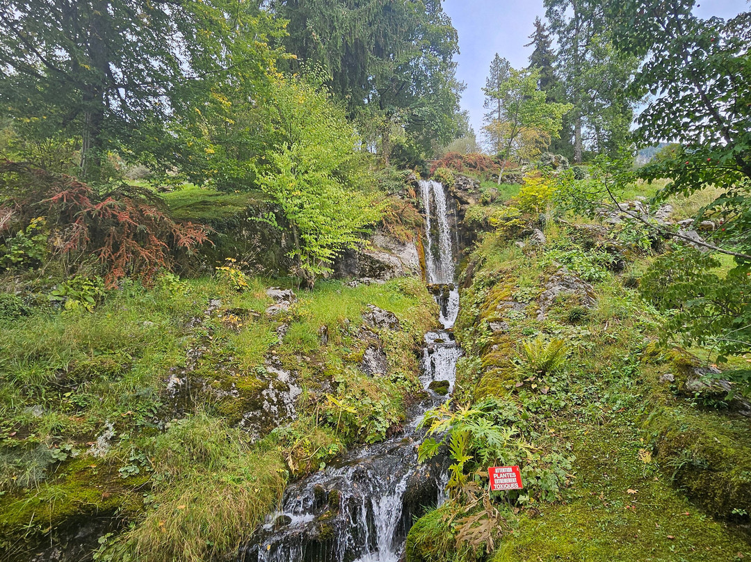 Jardin alpin La Jaÿsinia-Samoens必去景点