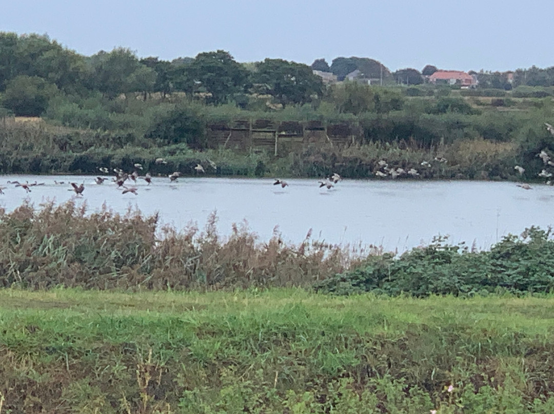 Lunt Meadows Nature Reserve-利物浦必去景点