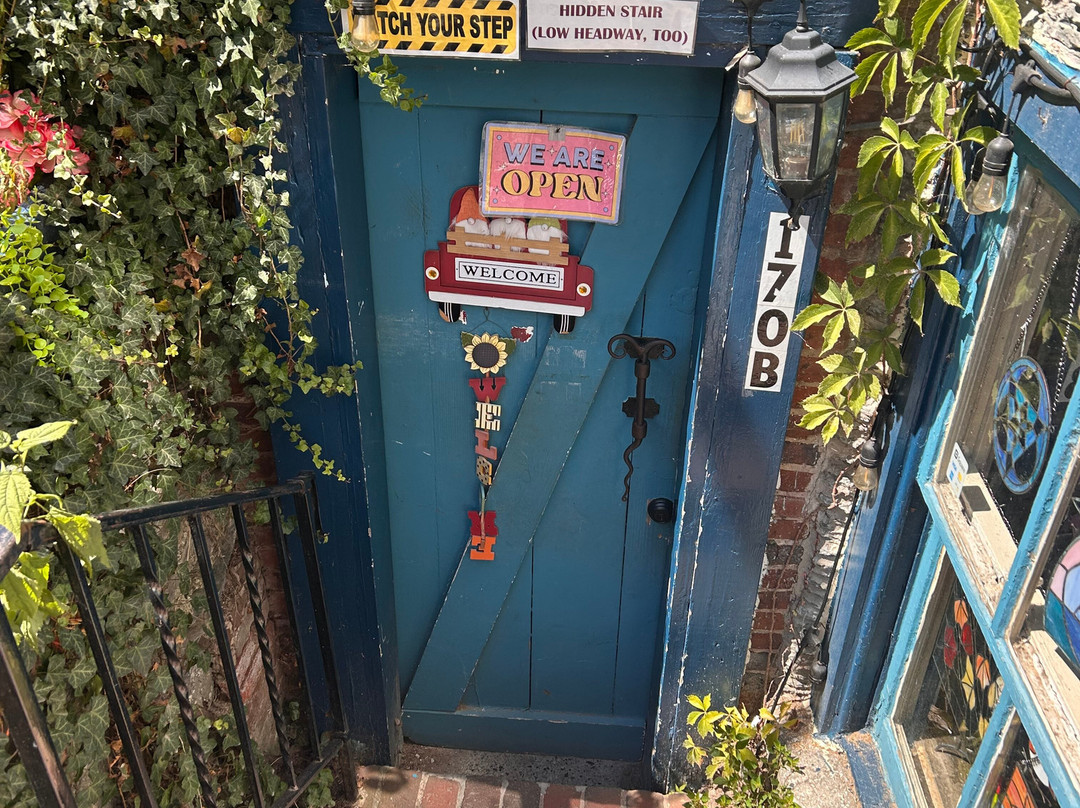 Mary Adams Accessories-哈泊斯费里必去景点