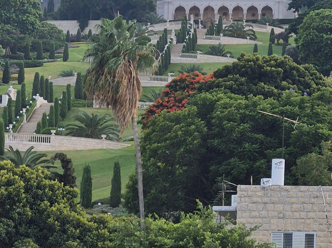 Botanica Haifa主图