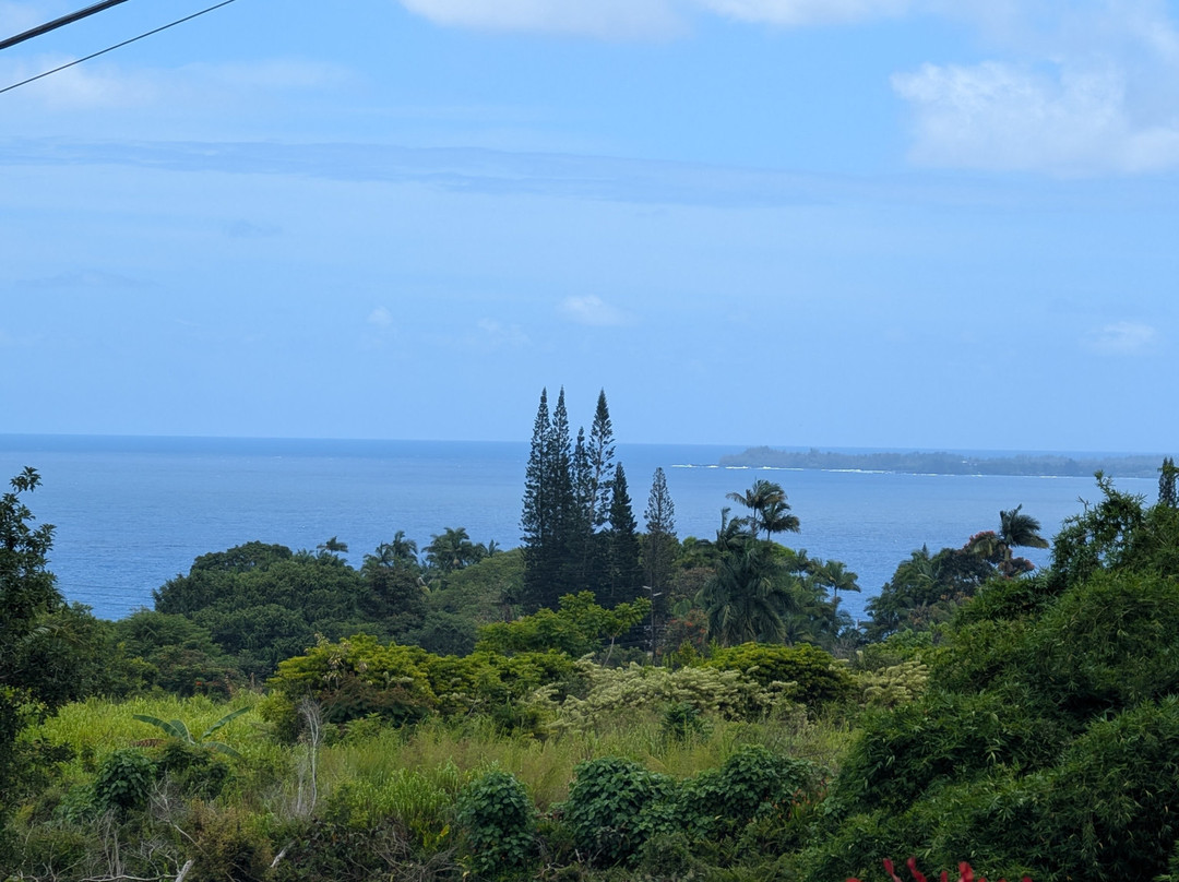 古德岛之家主图