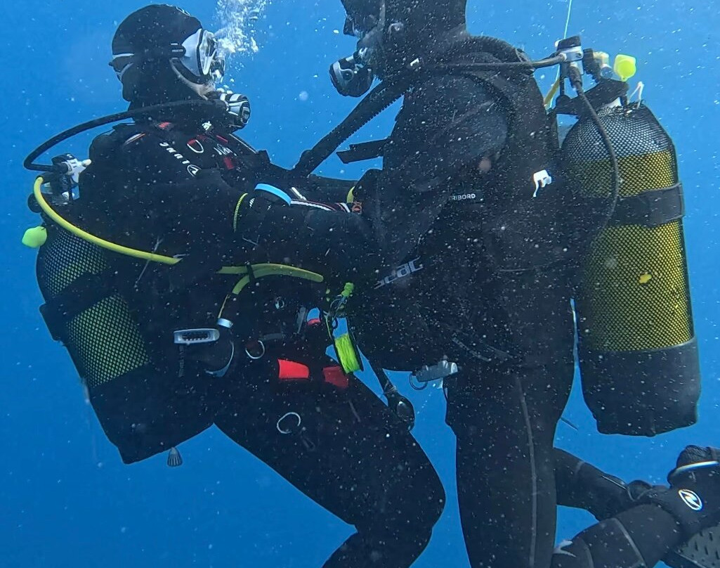 SAFARI, DRIVE & DIVE TOURS-Inhambane必去景点